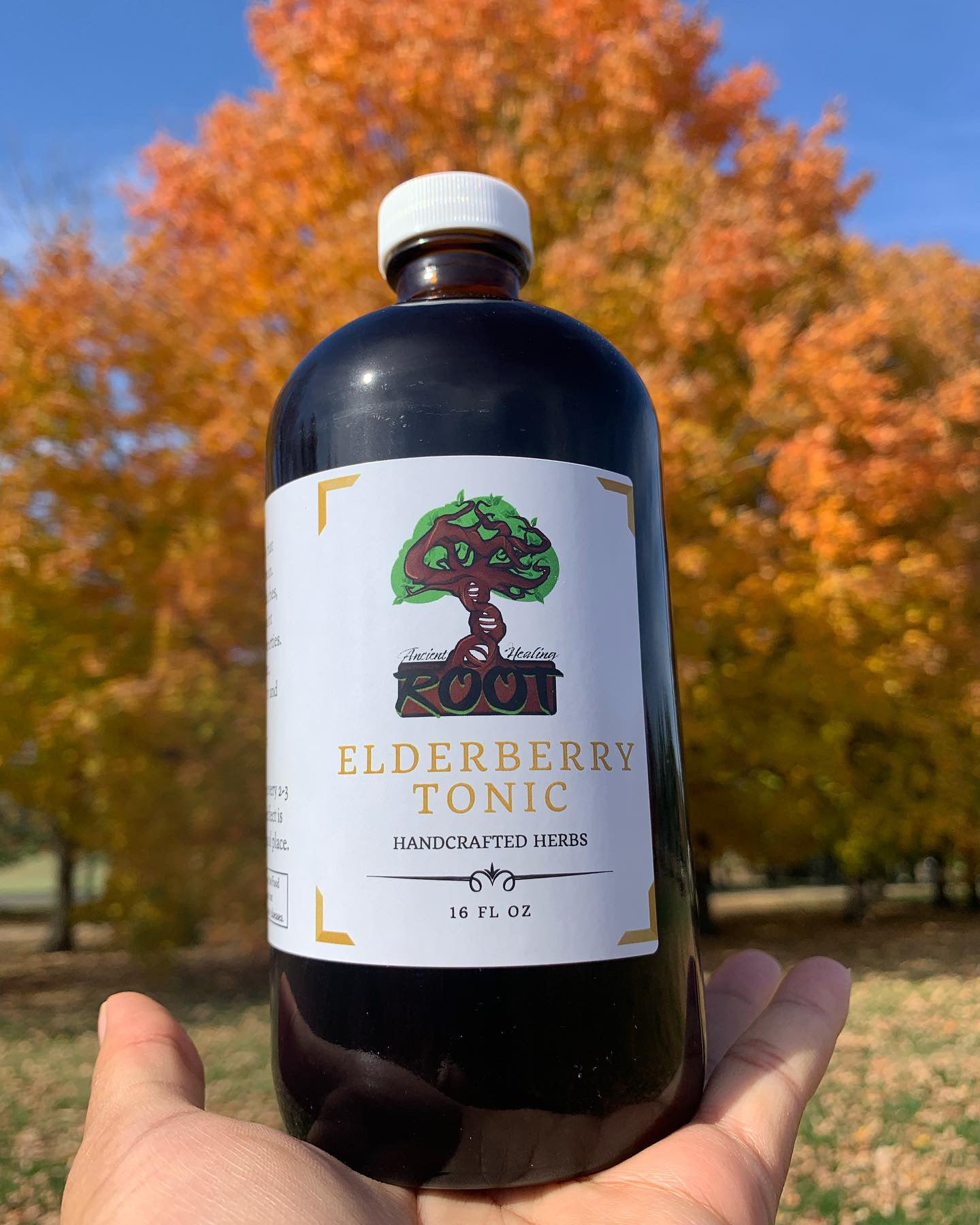 Elderberry syrup tonic