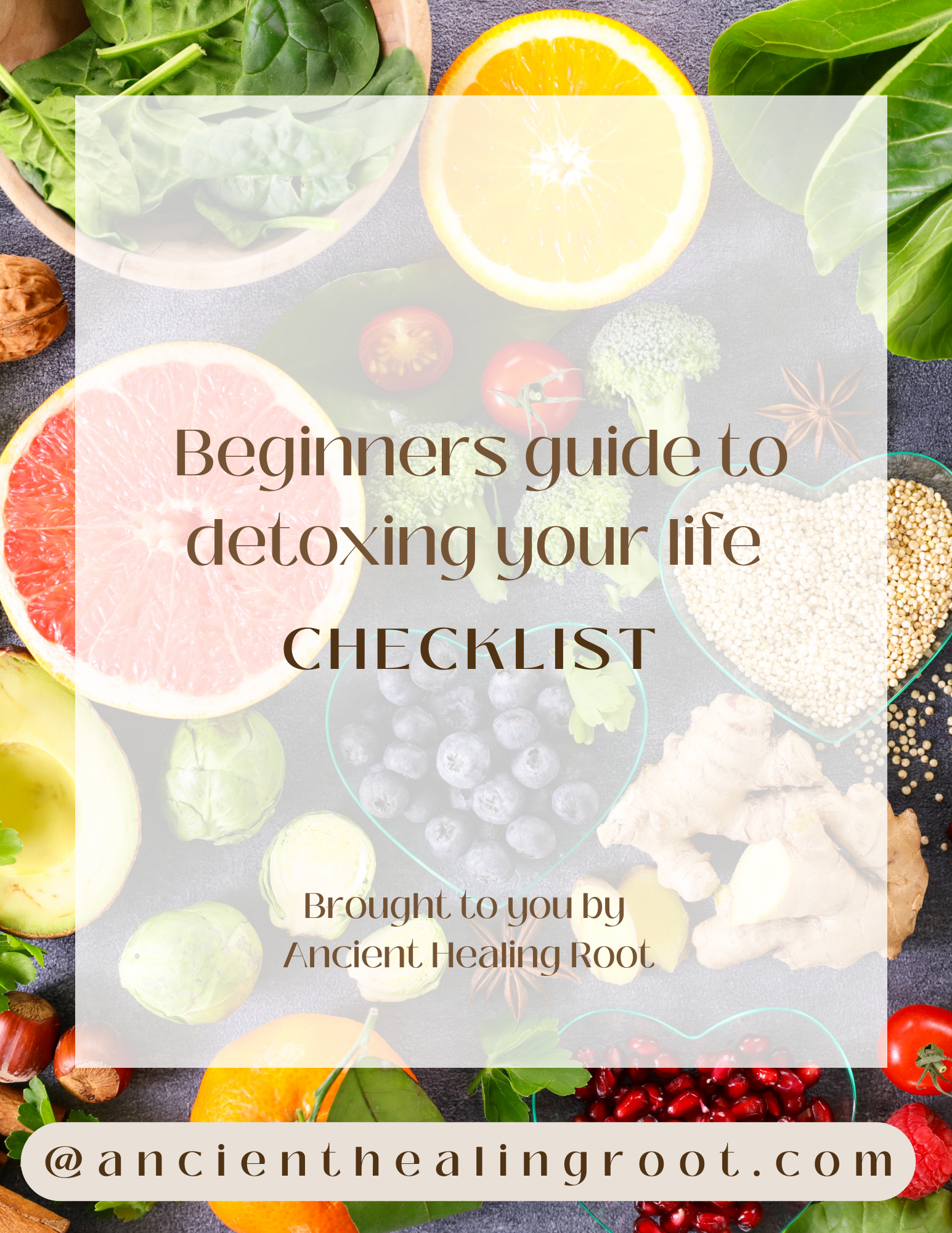 Beginners Guide to Detoxing Your Life