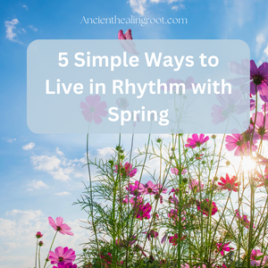 5 Simple Ways to Live in Rhythm with Spring